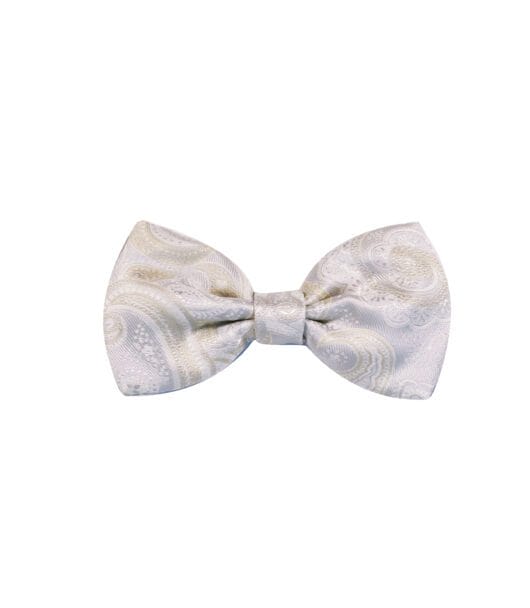 Champagne Paisley Silk Bowtie