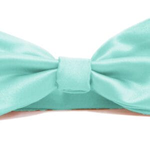 Fellini Plain Aqua Bowtie