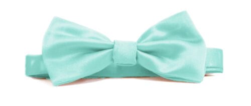 Fellini Plain Aqua Bowtie
